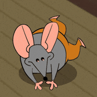 Dance Rat GIF