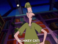 hey arnold nicksplat GIF
