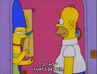 homer simpson episode 3 GIF
