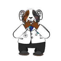 14 De Febrero Amoroso Sticker by Medical Audicion