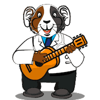 MarketingMedicalAudicion musica guitarra cuy serenata Sticker