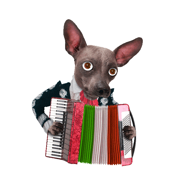 Celebrate Cinco De Mayo Sticker by chris timmons