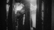 Martial Arts Fight GIF