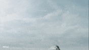 The Trench Shark GIF by Warner Bros. Pictures