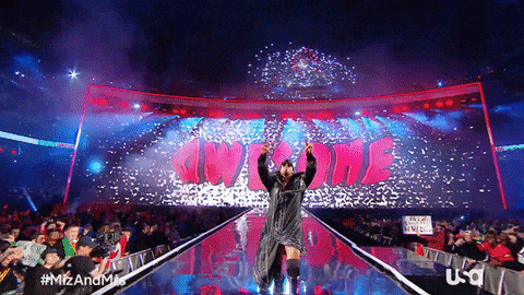 The Miz Television GIF by USA Network