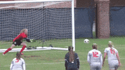 burns jackie GIF by Carson-Newman Athletics