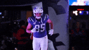 Hunter Henry Football GIF by New England Patriots