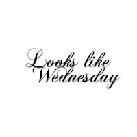 Looks Like Wednesday Sticker by TaboPictures