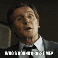Liam Neeson Arrest GIF by The Naked Gun Movie