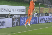 GIF by JuventusFC