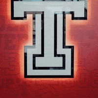 Kaitlyn Terry GIF by Texas Tech Softball