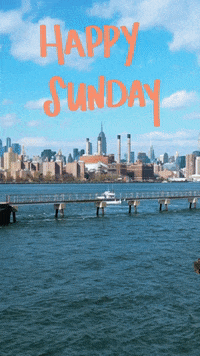 New York Ocean GIF by Yevbel