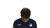 Look Up Tsg Hoffenheim Sticker by Bundesliga