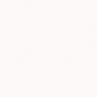 Cat Kitty GIF