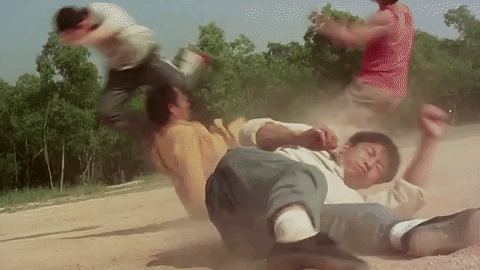 kung fu GIF