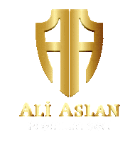 aliaslaan ali aslan Sticker
