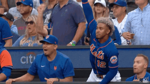 Lets Go Sport GIF by MLB