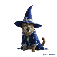 Harry Potter Cat GIF