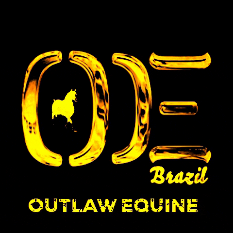 OUTLAWEQUINEVET giphygifmaker giphyattribution oe outlaw equine GIF