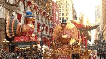Macys Parade Tom Turkey GIF by The 97th Macy’s Thanksgiving Day Parade
