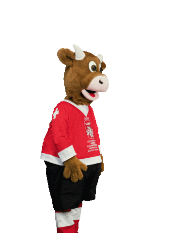 World Cup Referee Sticker by 2020 IIHF Ice Hockey World Championship Switzerland