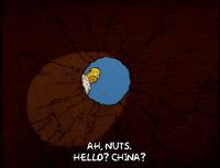 homer simpson GIF