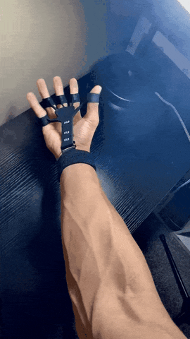hamzaygghgd  GIF