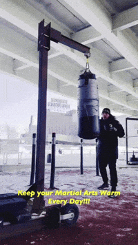 Winning Martial Arts GIF by Casol