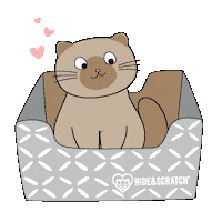 Cat If I Fits I Sits Sticker by Hide & Scratch