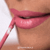 Makeup Lipstick GIF by Vasanti Cosmetics