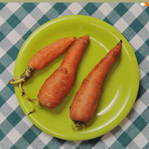 snacks alimentos GIF