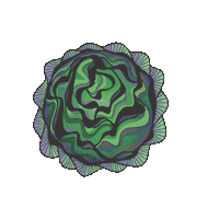 Lettuce Head Funk Sticker by Regime Music Group