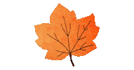 Fall Season Sticker