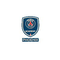 Soccer Phoenix Sticker by PSG Academy Houston