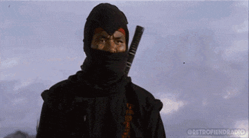 Martial Arts Cinema GIF by RETRO-FIEND