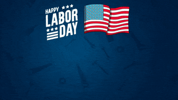 Happy America GIF by BigBrains