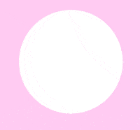 GIF by Penti