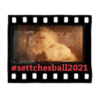 Unicorn Britney Sticker by Settchesball