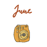 Polaroid June Sticker
