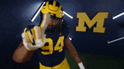 Go Blue College Football GIF by Michigan Athletics