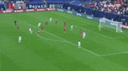 Asian Cup Iran GIF