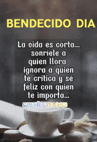 La Vida Amigos GIF by Murcianys LLC