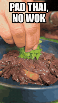 As Seen On Tv Cooking GIF by Rice Robot