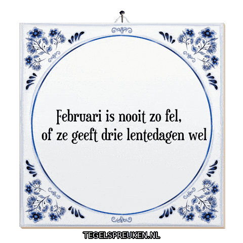 Hoop Nl Sticker by Tegelspreuken.nl