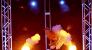 auburn tigers cws GIF by NCAA Championships