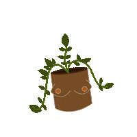 RareBeingDesign nature pot plantlover plantlove Sticker