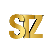 stzauto stz auto Sticker
