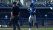Home Run GIF by Toronto Blue Jays