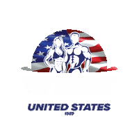 United States Usa Sticker by wnbfofficial