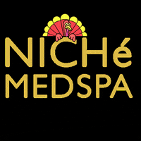 nichemedspa niche medspa happythanksgiving medispa GIF